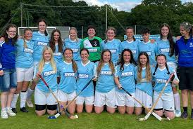 Image result for Skye Camanachd