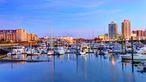 Image result for stamford cc