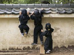 Image result for Hertfordshire Iga Ryu Ninjutsu
