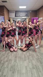 Image result for Ashby netball club