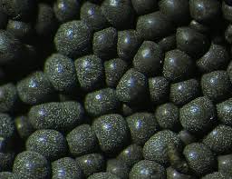 Attēlu rezultāti vaicājumam “Badhamia lilacina macro”