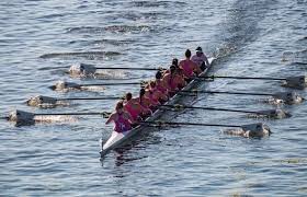 Image result for Elkesley All Rounders