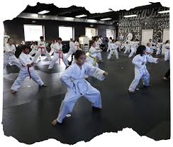 Image result for Martial Arts New Jersey