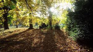 Image result for Cambridge Rambling Club
