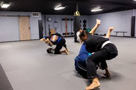 Image result for Derwent Valley Ju-Jitsu Academy