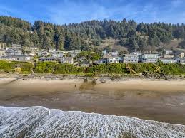 Image result for Lincoln City