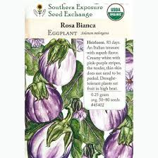 Afbeeldingsresultaat voor rosa bianca eggplant