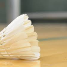 Image result for Feathers Badminton- Leatherhead
