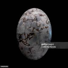 Attēlu rezultāti vaicājumam “Emberiza schoeniclus eggs”