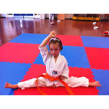 Image result for widnes judo