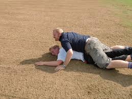 Image result for Capel Cricket Club