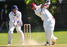 Image result for Steyning Cricket Club