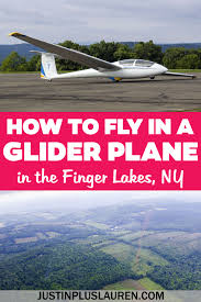 Image result for Lakes Gliding Club