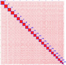 Image result for Rhomboplites aurorubens