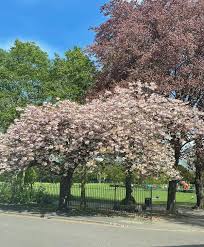 Image result for Faversham Gymnastic & Activity Centre