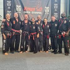 Image result for Kenpo Karate Club