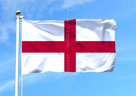 Image result for символ англии