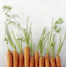 Image result for Möhren
