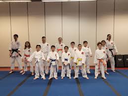 Image result for HEIWA SHOTOKAN KARATE CLUB