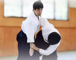 Image result for Coldharbour Aikido Club