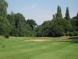 Image result for Welwyn Garden City Cricket Club