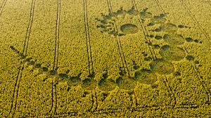 Image result for crop circles