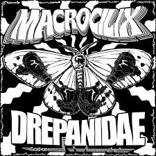 Attēlu rezultāti vaicājumam “Drepanidae”