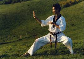 Image result for Chichester Tae Kwon Do