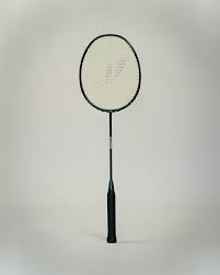 Image result for Feathers (New Milton) Badminton Club