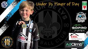 Image result for Fleur De Lys Football Club