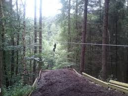 Image result for Go Ape! Dalby