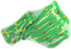 Image result for Downpatrick Cricket Club