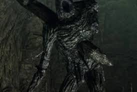 Attēlu rezultāti vaicājumam “Tortella inclinata”