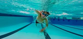 Image result for Bath Freediving Club