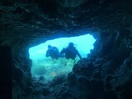 Image result for Aquanauts Dive Centre Sunderland