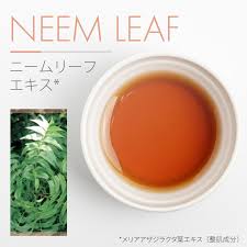 「ネフィリム・ニーベルエンド」の画像検索結果