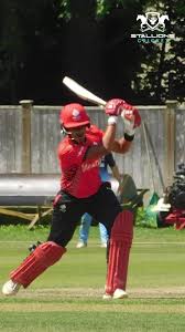 Image result for Southern Railway & Kenley Cricket Club