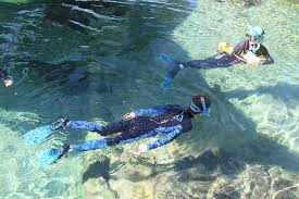 Image result for Wyndley NSC Snorkelling Club