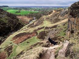 Image result for White Coppice Cricket Club