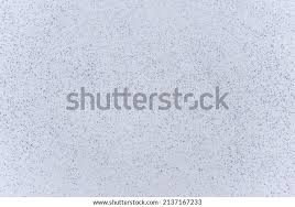 Attēlu rezultāti vaicājumam “Hypogastrura sp.”