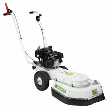 Image result for etesia tehron