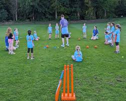 Image result for Warrington Cricket Club