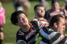 Image result for Houghton Rugby Union Football Club