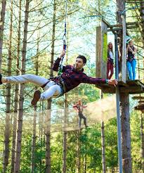 Image result for Go Ape! Moors Valley