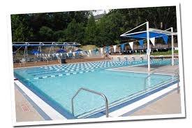 Image result for Meadow Sports Badminton Club