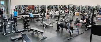Image result for Arrow Vale Gym Club
