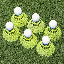 Image result for Shuttles Badminton Club (Frome)