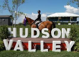 Image result for Shey Copse Riding Centre