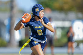 Image result for Holly Lane Badminton Club