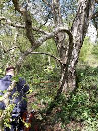 Image result for Long Eaton Field Archery Club